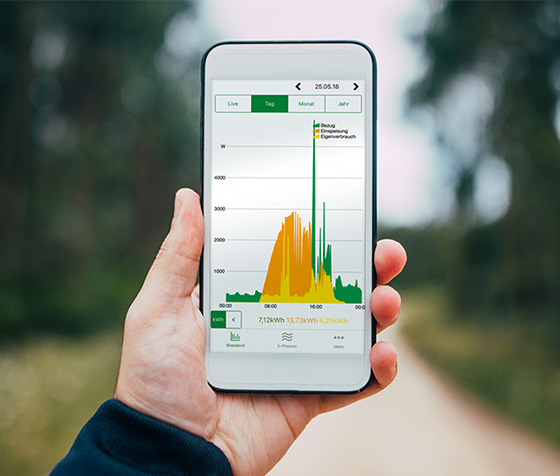 Energievisualisierung mit einem Smart Meter